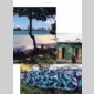 j'irai graffer chez vous