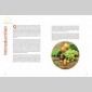 boissons fermentes naturelles (2025)