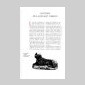 lettres hbraques (les)