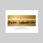 symphonie sauvage