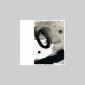 traces et signes