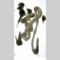 trois pierres cinq fleurs