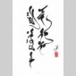 sur la terre des mongols