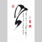 sur la terre des mongols