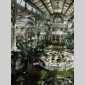 grande aventure des plantes d'intrieur (la)