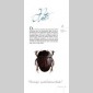 insectes & compagnie 