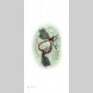 insectes & compagnie 