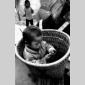 natre en chine