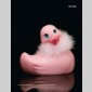 sextoys story