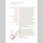 petites histoires  des grandes recettes