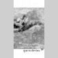 variations sur l'aprs-midi d'un faune