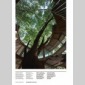 sustainable design 6