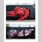 europe street art  & graffiti